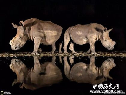 2018國家地理攝影大賽獲獎排名國家地理攝影大賽簡介