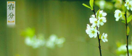 春分傳統(tǒng)習俗簡介春分吃什么養(yǎng)生？