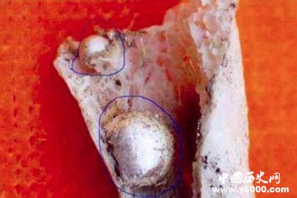 中國供奉佛骨舍利的歷史發(fā)展 佛骨舍利分布