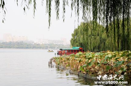 楊柳的寓意和意象柳樹為什么被稱作楊柳？