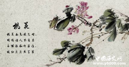 桃花的寓意和象征關(guān)于桃花的詩詞有哪些？