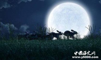 英劇《兔子共和國》劇情內(nèi)容介紹主題曲叫什么原著內(nèi)容介紹 英劇《兔子共和國》劇情內(nèi)容介紹主題曲叫什么原著內(nèi)容介紹