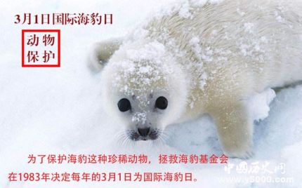 國(guó)際海豹日簡(jiǎn)介國(guó)際海豹日主題國(guó)際海豹日的活動(dòng)有哪些？
