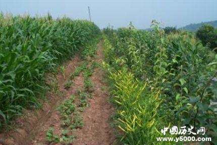 裴保義生平經歷簡介裴保義的貢獻成就有哪些？