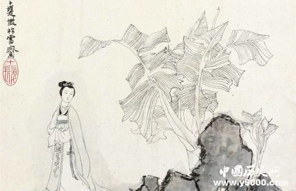 芭蕉的寓意芭蕉象征著什么意義？