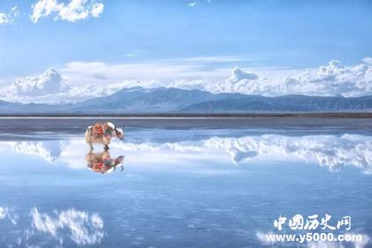 青海湖基本信息介紹 青海湖旅游景點介紹