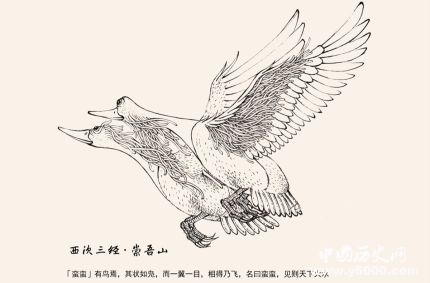 比翼鳥(niǎo)簡(jiǎn)介比翼鳥(niǎo)的寓意比翼鳥(niǎo)到底是什么鳥(niǎo)？
