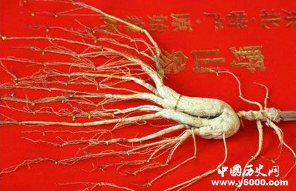 東北三寶是指哪三寶東北新三寶是哪三寶