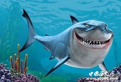 鯊魚抗癌之謎：鯊魚為什么不會得癌癥