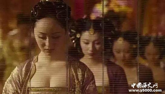 皇帝幼年結(jié)婚啥都不懂怎么辦？