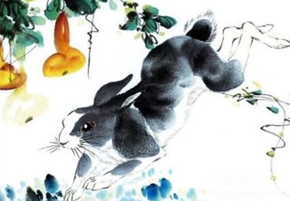 屬兔的人在2019年運(yùn)勢(shì)怎么樣屬兔的人幸運(yùn)物是什么