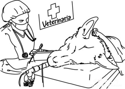 獸醫(yī)學(xué)家高國(guó)景生平經(jīng)歷高國(guó)景主要論著有哪些？