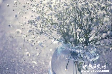 滿天星的花語和寓意滿天星適合送什么人？