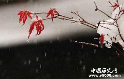 小雪節(jié)氣養(yǎng)生食譜 小雪節(jié)氣養(yǎng)生攻略