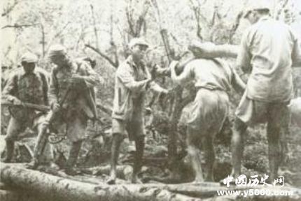 中國遠征軍組建背景歷史簡介中國遠征軍的評價如何？