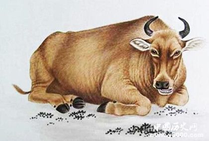 生肖牛簡介生肖牛是怎么來的生肖牛的性格特點