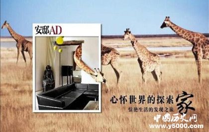 《安邸AD》雜志簡介雜志內(nèi)容介紹安邸雜志發(fā)展史介紹