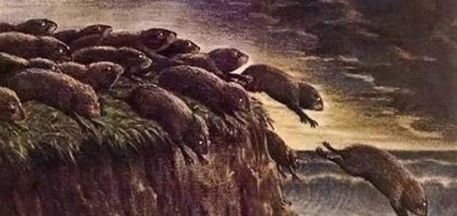 旅鼠集體自殺之謎：旅鼠為什么會(huì)投海自殺