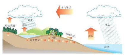 地球上的水是怎么來的 水循環(huán)的過程講解