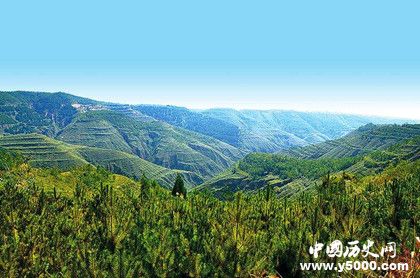 人工造林最多國家人工造林的特點(diǎn)和意義是什么