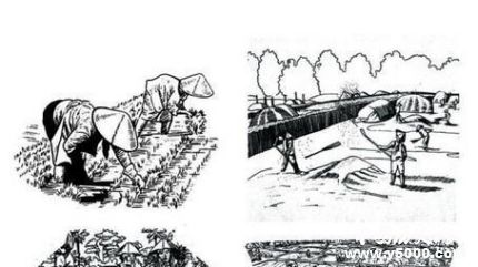 唐朝租庸調制簡介租庸調制的內容和作用租庸調制評價怎么樣？