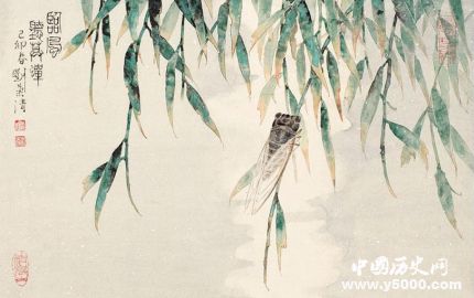 蟬的寓意和象征蟬的一生有什么啟示？