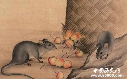 屬鼠的人2019年運(yùn)勢怎么樣屬鼠的幸運(yùn)物是什么