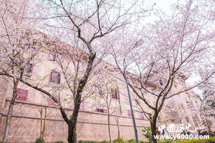 武漢大學(xué)的建校歷史武漢大學(xué)歷史有多久了