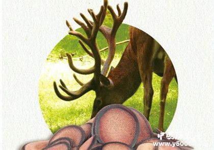 東北三寶是指哪三寶東北新三寶是哪三寶