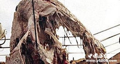 太平洋怪獸之謎：太平洋怪獸到底是什么