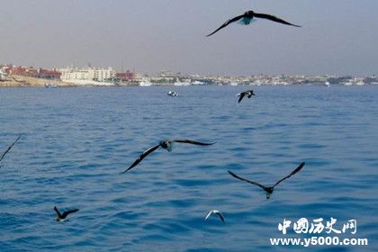 9f687d1b10dae82b068f04a184936dd2.jpg 9f687d1b10dae82b068f04a184936dd2.jpg