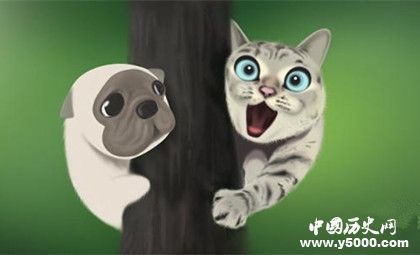 生肖狗是怎么來的屬狗的人有哪些性格特點(diǎn)