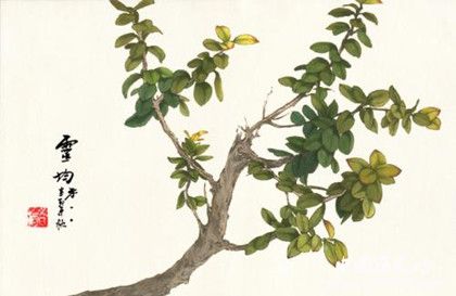 杜荀鶴著名代表作介紹杜荀鶴詩歌作品特點介紹