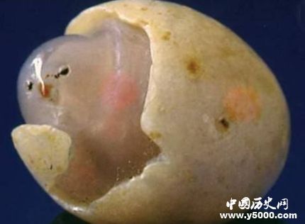 中國四大奇石簡(jiǎn)介中國四大奇石是哪四種？