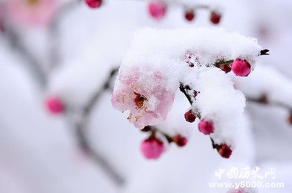 描寫冬天雪的古詩詞有哪些