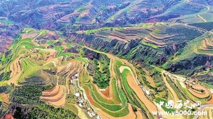 黃土高原是什么地貌 黃土高原的黃土從哪兒來的