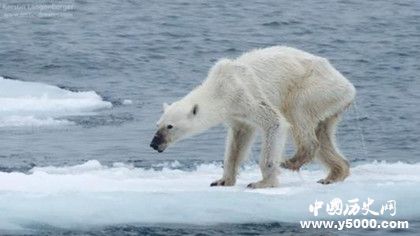 全球氣候變暖的原因是什么 全球變暖的影響有哪些