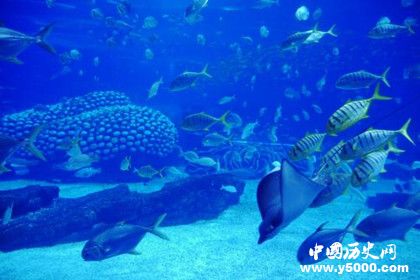 地球上的水是怎么來的 水循環(huán)的過程講解