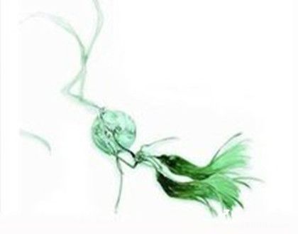 辛棄疾詩(shī)歌書(shū)法作品介紹辛棄疾詩(shī)歌作品特點(diǎn)內(nèi)容介紹