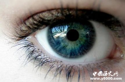 世界青光眼日簡(jiǎn)介世界青光眼日主題是什么？