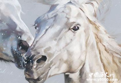 屬馬的人2019年運(yùn)勢怎么樣屬馬的幸運(yùn)物是什么