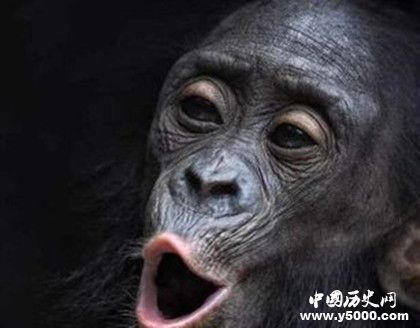 b9ff3a2f071efdb4a9c0403d9f246758.jpg b9ff3a2f071efdb4a9c0403d9f246758.jpg