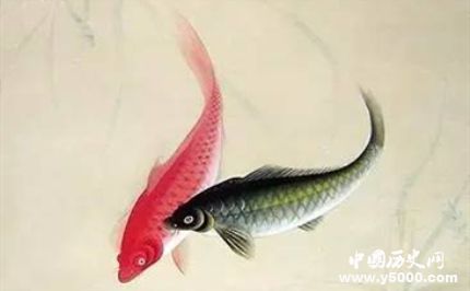 雙鯉的寓意和象征有關(guān)雙鯉的詩詞有哪些？