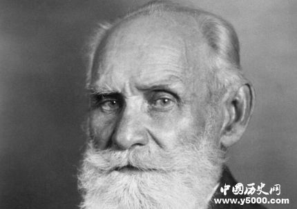 巴甫洛夫簡介巴甫洛夫條件反射理論巴甫洛夫的貢獻有哪些？