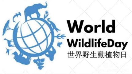 世界野生動植物日簡介世界野生動植物日主題活動有哪些？