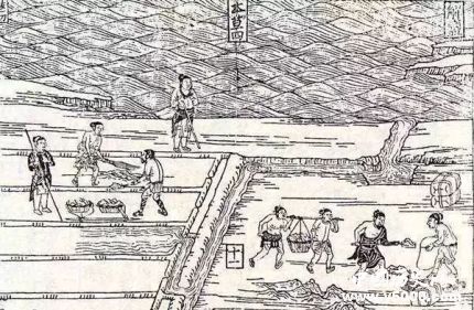 唐朝租庸調(diào)制簡(jiǎn)介租庸調(diào)制的內(nèi)容和作用租庸調(diào)制評(píng)價(jià)怎么樣？