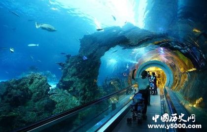 英法海底隧道簡介建設(shè)過程介紹英法海底隧道有哪些作用