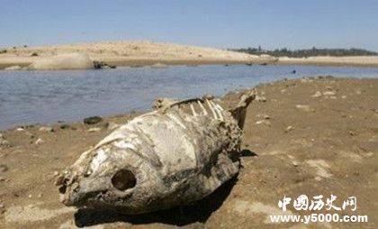 強(qiáng)厄爾尼諾為什么增多厄爾尼諾現(xiàn)象形成原因有哪些危害