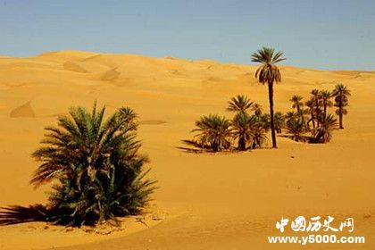 隆美爾財寶之謎：隆美爾財寶在哪里為什么消失了