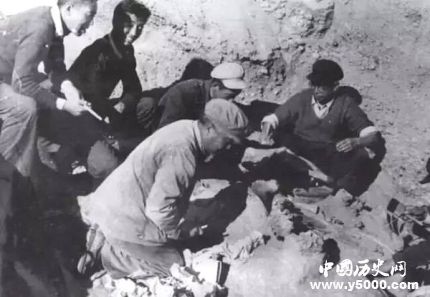 裴文中個人簡介裴文中的經(jīng)歷裴文中的成就有哪些？